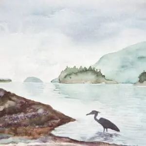 Heron in Howe Sound